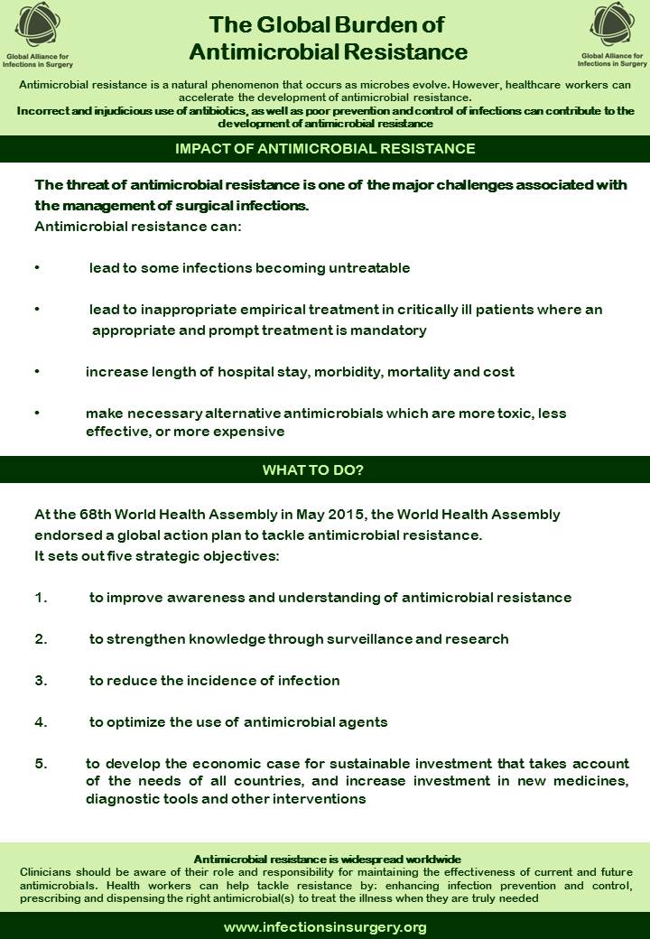 Global Alliance for Infections in Surgery