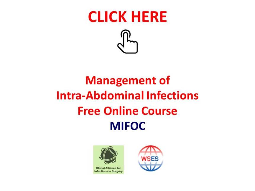 Corso definitive online