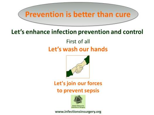 Global Alliance for Infections in Surgery20