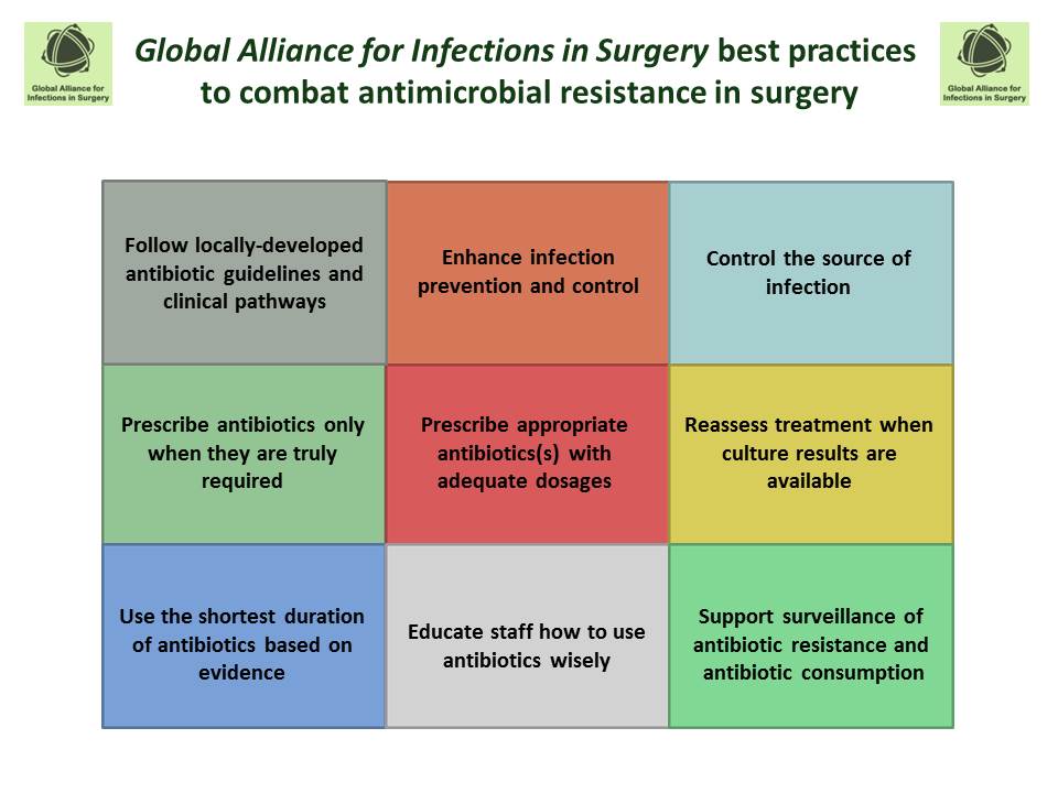 Global Alliance for Infections in Surgery best practices to combat ...