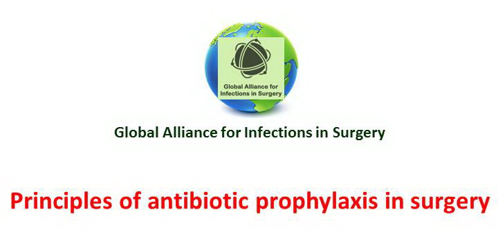 Principles of antibiotic prophylaxis in surgery – Global Alliance for ...