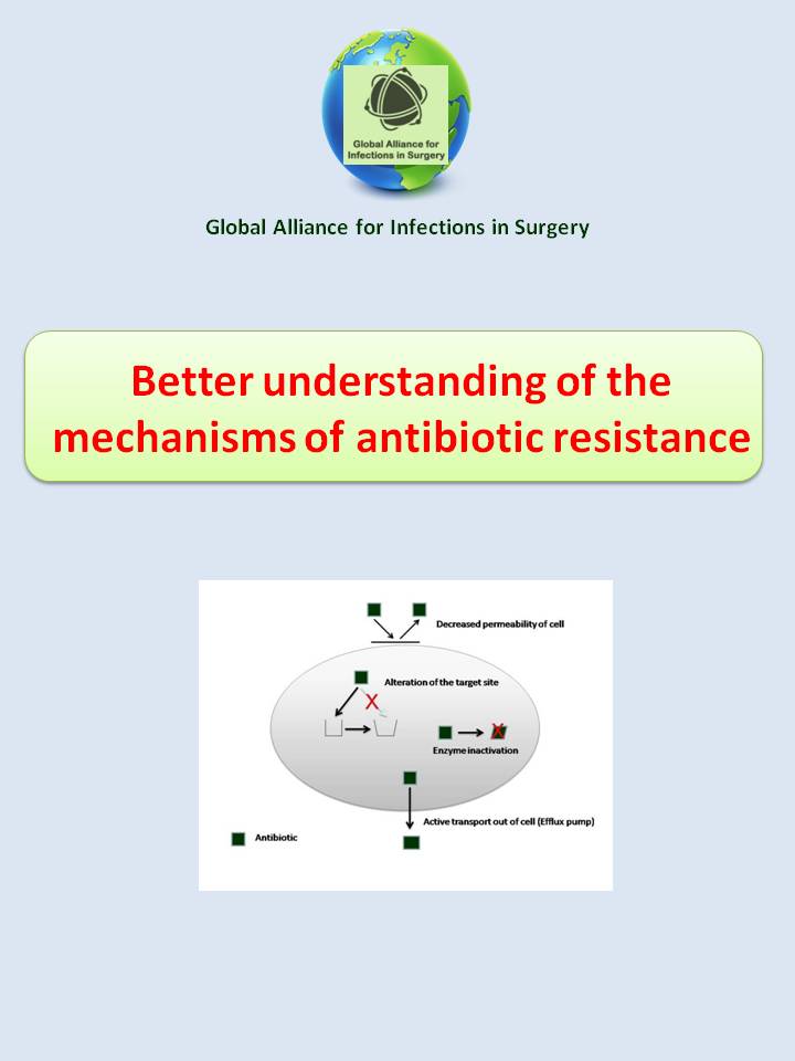 better understanding the mechanisms of antibiotivc resistance