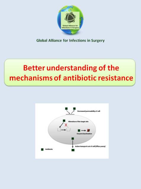 better understanding the mechanisms of antibiotivc resistance