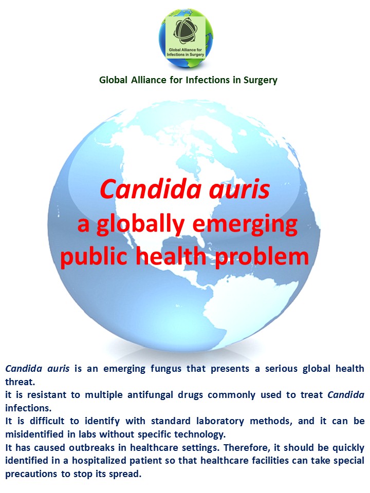 Candida auris
