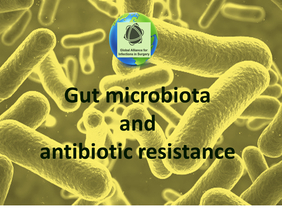 Gut microbiota