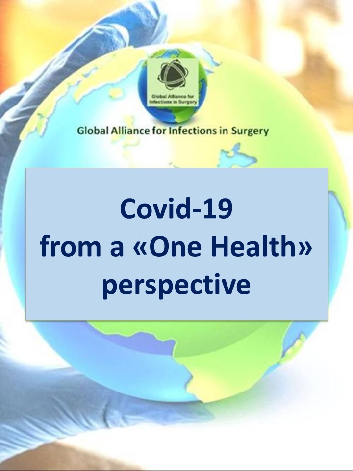 Presentazione standard1