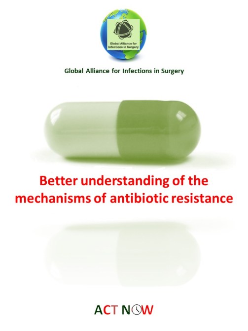 Global Alliance for Infections in Surgery